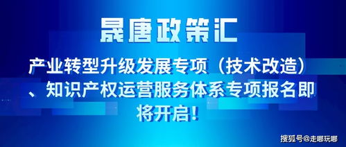 晟唐孵化器 產(chǎn)業(yè)轉(zhuǎn)型升級(jí)發(fā)展專項(xiàng) 知識(shí)產(chǎn)權(quán)運(yùn)營(yíng)服務(wù)體系專項(xiàng)報(bào)名即將開始